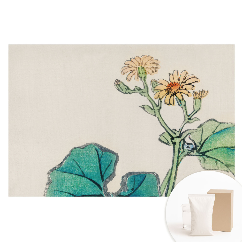 Velká fototapeta na zeď Jemná květina na pozadí zelených listů