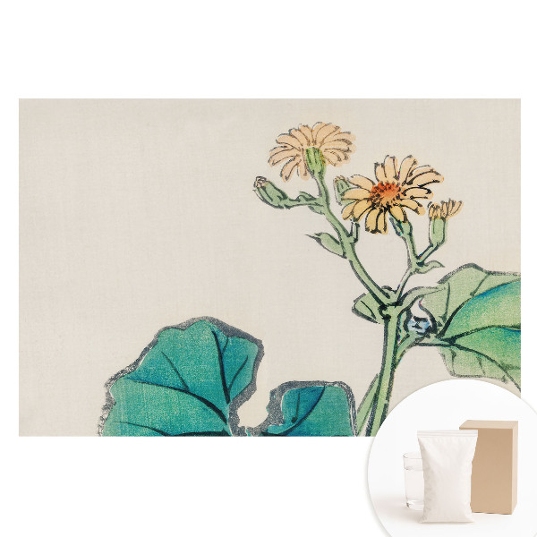 Velká fototapeta na zeď Jemná květina na pozadí zelených listů