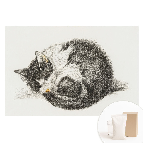 Fototapeta na netkané textilii Spící kotě centrální ilustrace