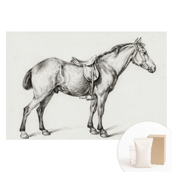 Netkaná fotografická tapeta Realistický kůň se sedlem