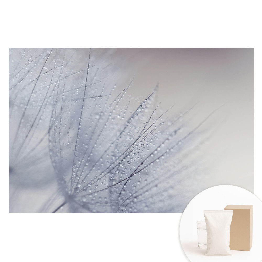 Netkaná tapeta Makro kapiček na vláknech pampelišky