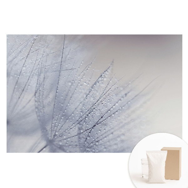 Netkaná tapeta Makro kapiček na vláknech pampelišky