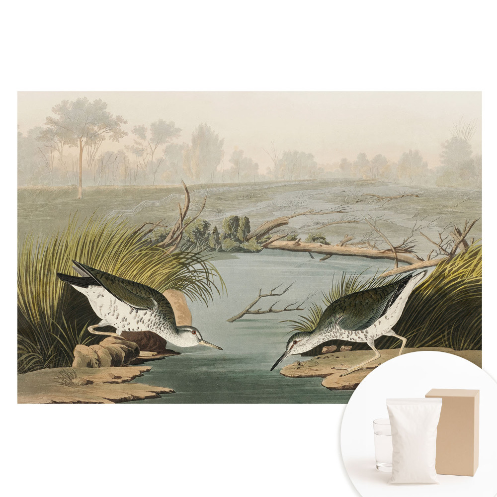 Netkaná tapeta s potiskem Ptáci u jezera, harmonie přírody