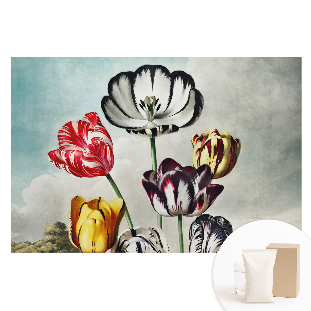 Netkaná tapeta Kytice tulipánů, klasická elegance