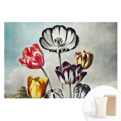 Netkaná tapeta Kytice tulipánů, klasická elegance