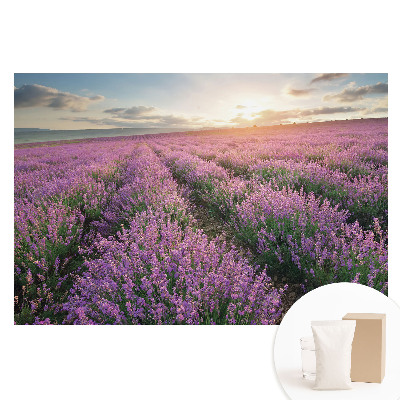 Fototapeta na netkané textilii Západ slunce s fialovou levandulí