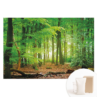 Fototapeta s potiskem na netkané textilii Lesní krajina se slunečními paprsky