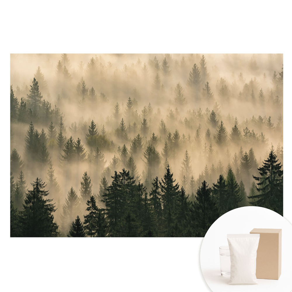 Netkaná fotografická tapeta Les v ranní mlze