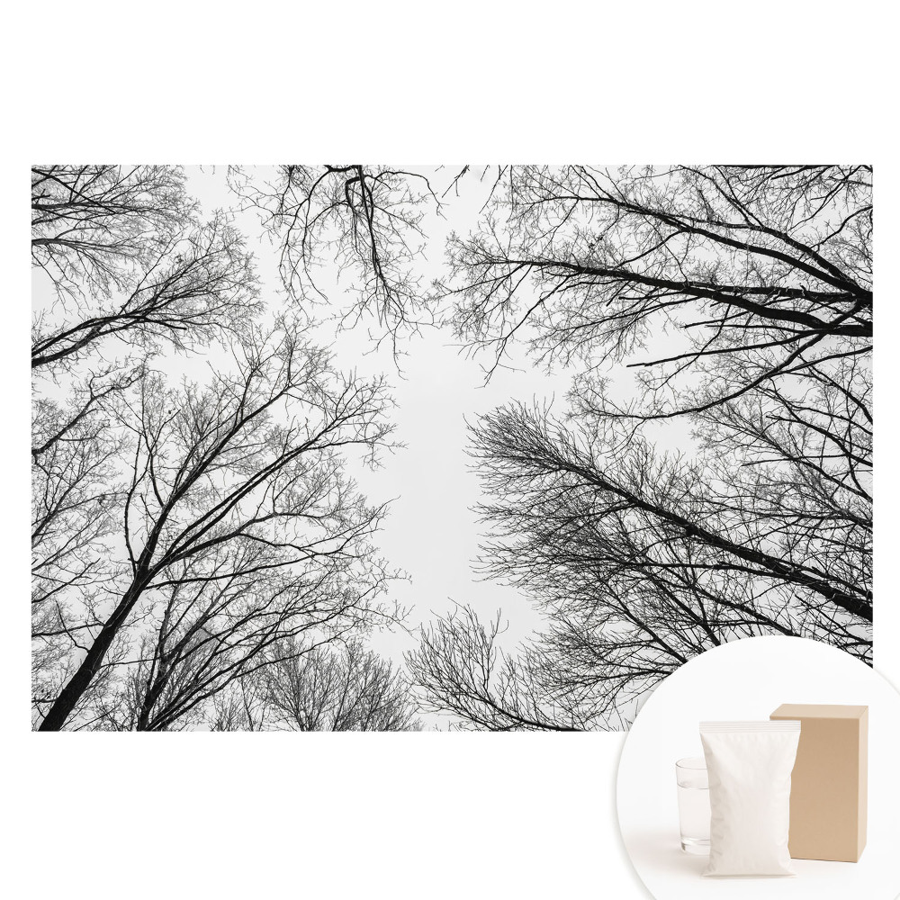 Fototapeta na netkané textilii Černobílé zimní stromy