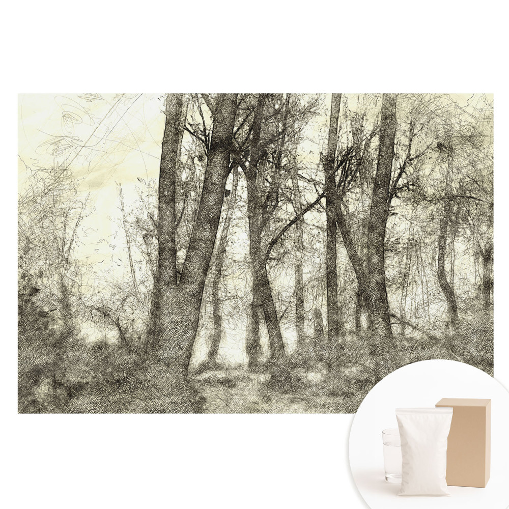 Netkaná fotografická tapeta Atmosférická krajina lesa