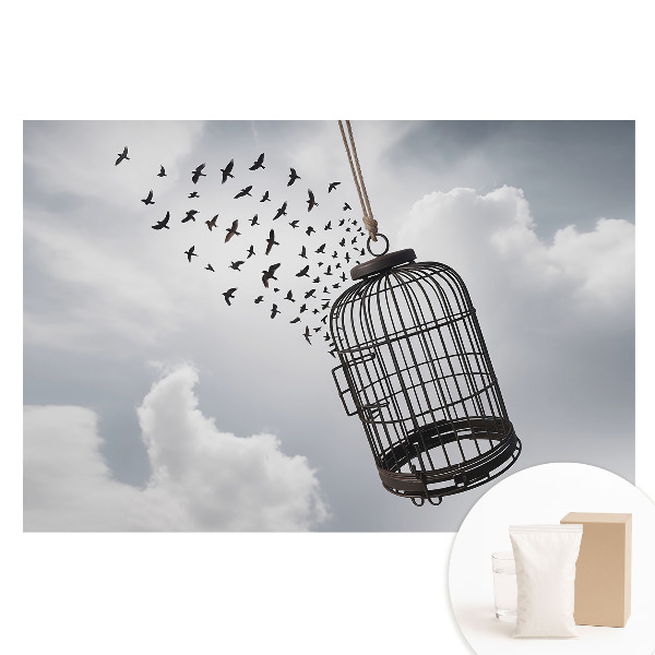 Velká fototapeta na zeď Svoboda a mír