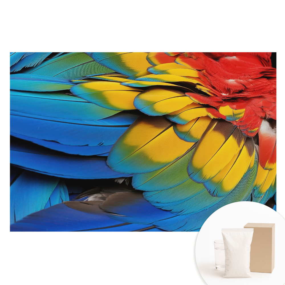 Fototapeta na vliesu Energická mozaika barevného peří