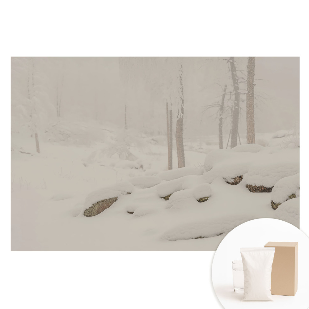 Velká fototapeta na zeď Zimní krajina útulný les