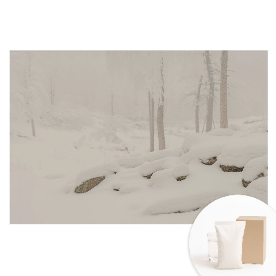 Velká fototapeta na zeď Zimní krajina útulný les