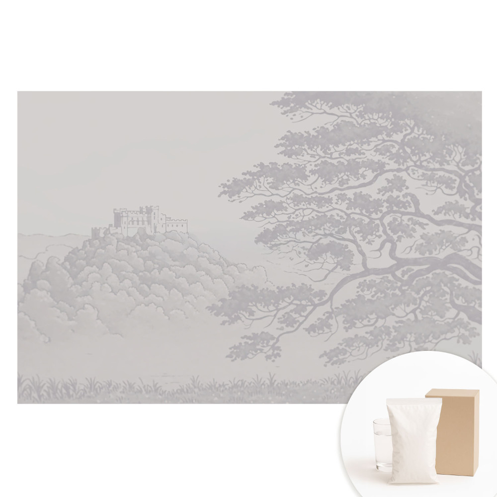 Fototapeta na netkané textilii Krajina hradu mezi stromy