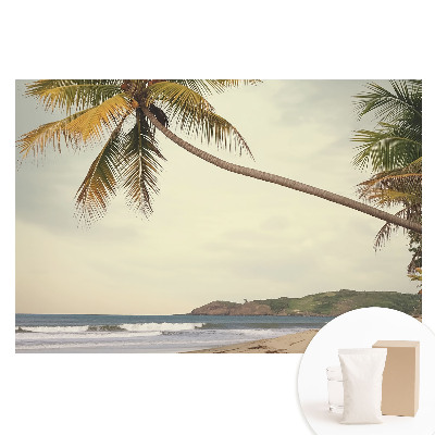 Fototapeta na netkané textilii Palma a exotická pláž