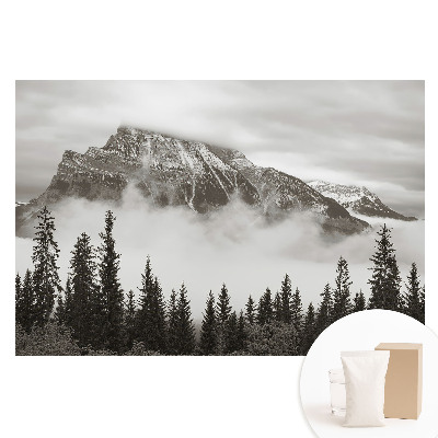 Fototapeta na netkané textilii Horská krajina obklopená mlhou