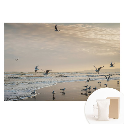 Netkaná tapeta Rackové na pobřeží při západu slunce