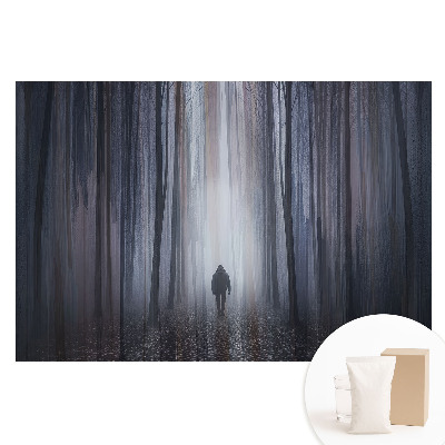 Fototapeta na vliesu Osamělá postava v tajemném lese