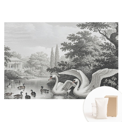 Velká fototapeta na zeď Jezero s labutěmi a kachnami v klasickém stylu