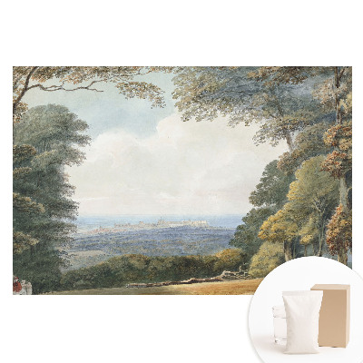 Netkaná fotografická tapeta Krajina u lesa, výhled na město