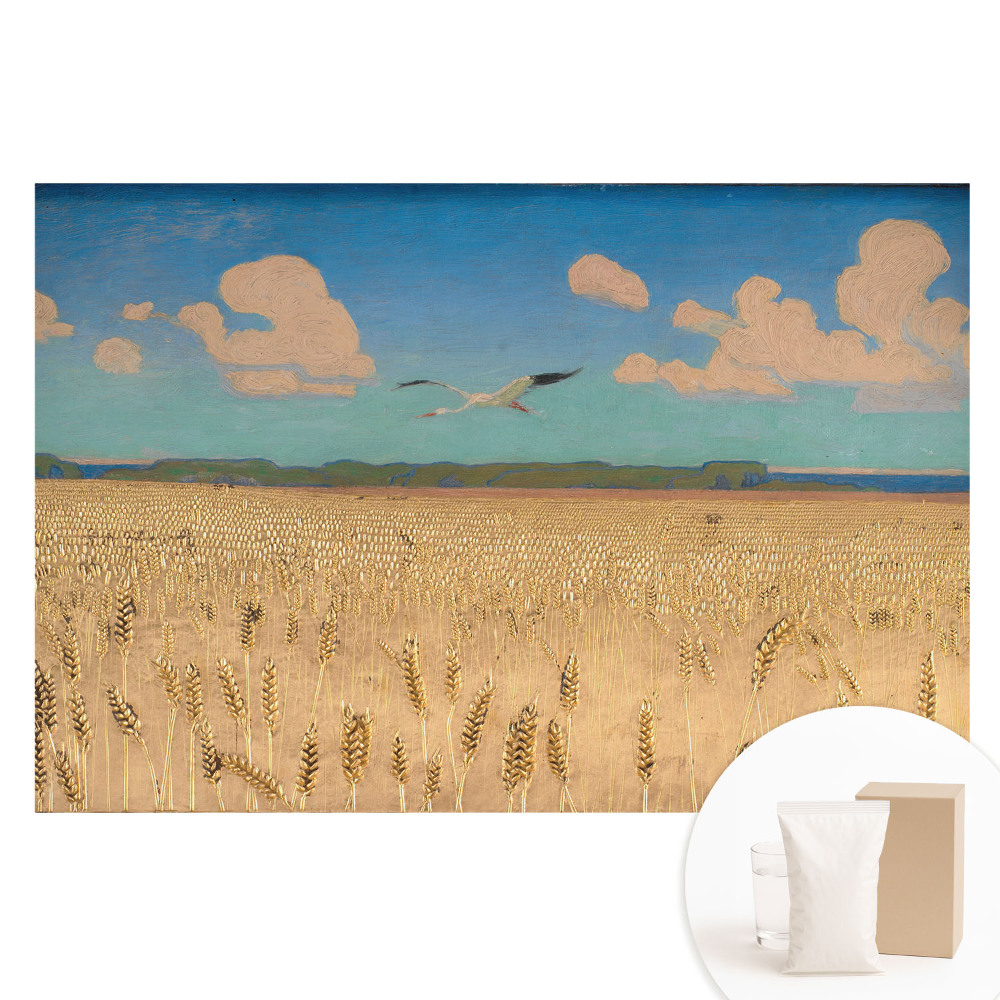 Velká fototapeta na zeď Pšeničné pole pod oblohou