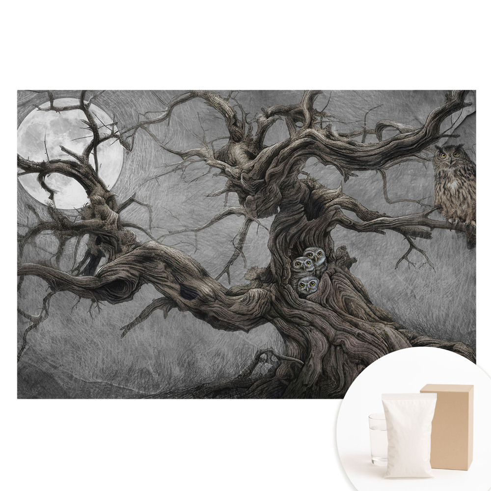 Netkaná fotografická tapeta Kouzelná noční scenérie se sovami