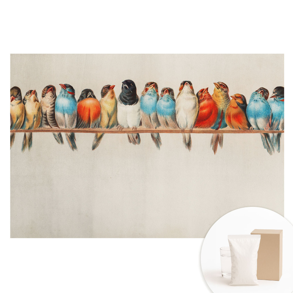 Netkaná tapeta Barevní ptáci na větvi v klasickém stylu