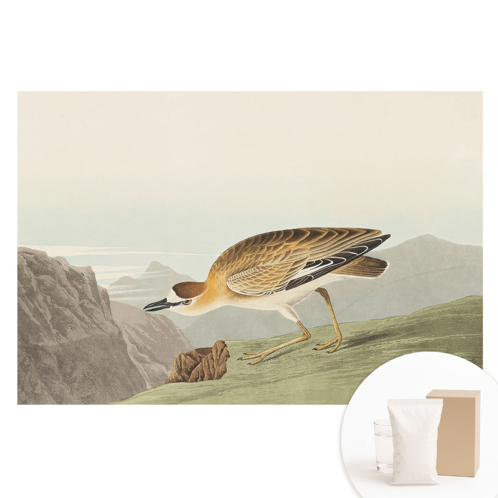 Netkaná tapeta s potiskem Pták na úbočí hory