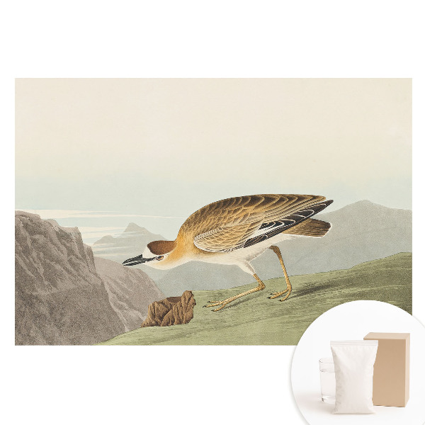 Netkaná tapeta s potiskem Pták na úbočí hory