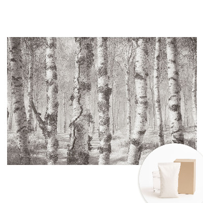 Netkaná fotografická tapeta Břízy v klasickém lese