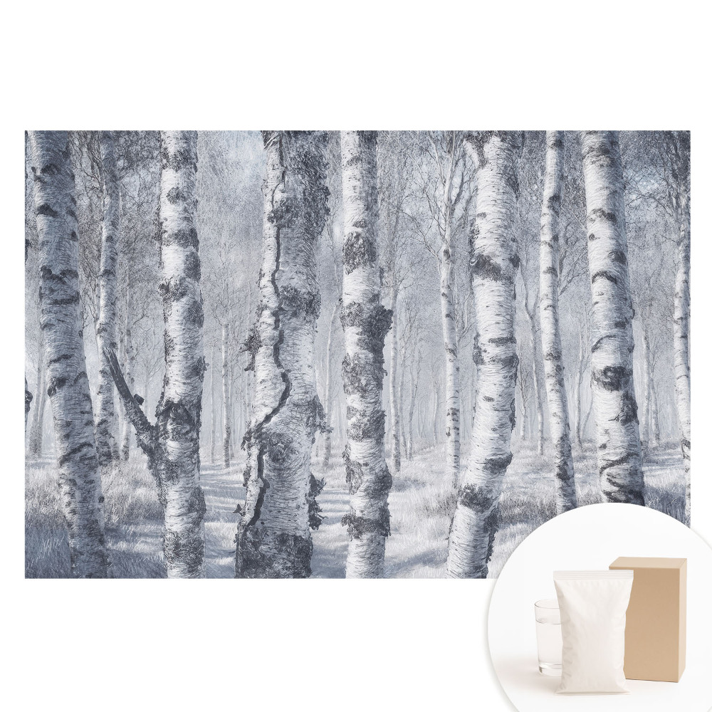 Fototapeta s potiskem na netkané textilii Zimní březový les