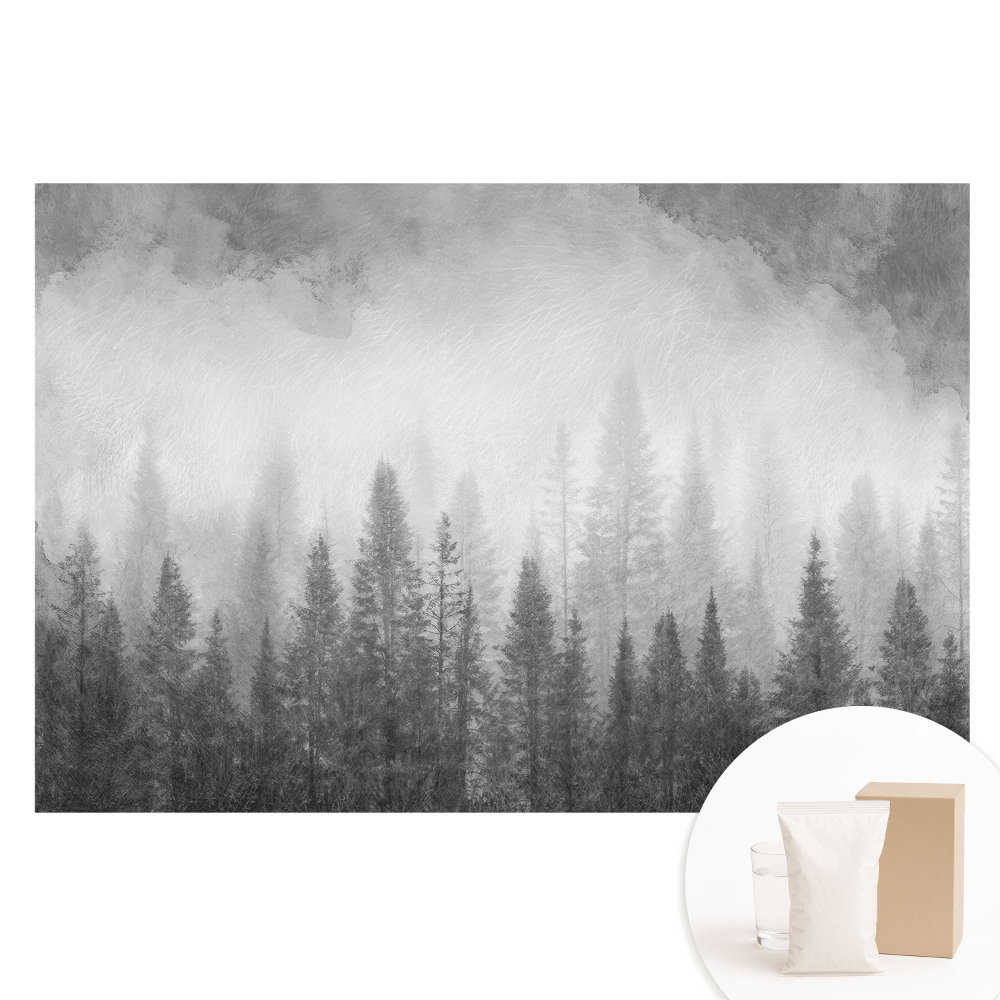 Velká fototapeta na zeď Tajemný les v mlze