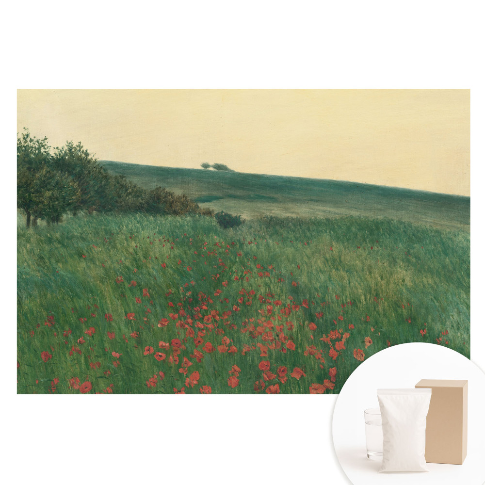 Velká fototapeta na zeď Rustikální louka plná máků a stromů