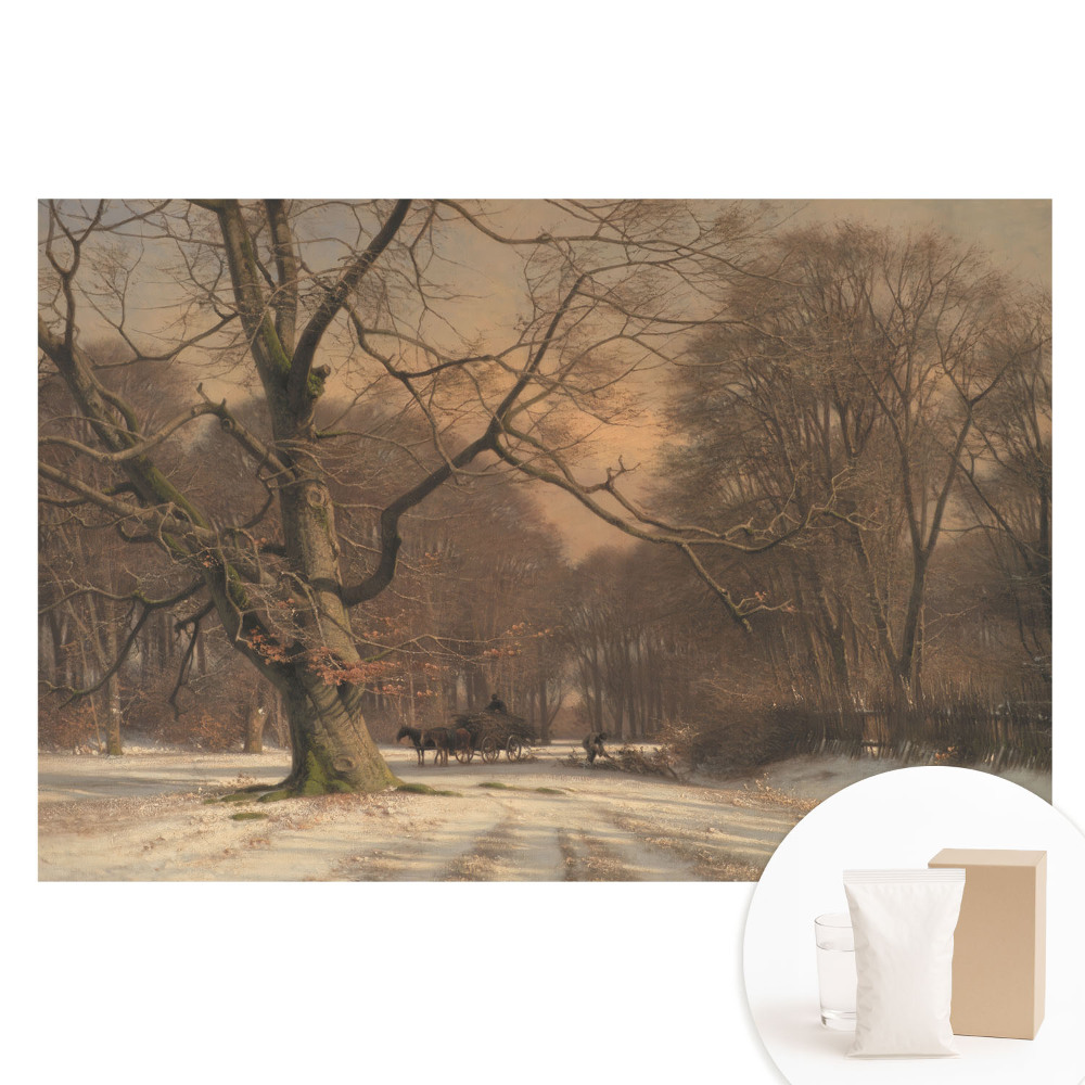 Fototapeta na netkané textilii Zimní lesní klid příroda