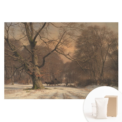 Fototapeta na netkané textilii Zimní lesní klid příroda