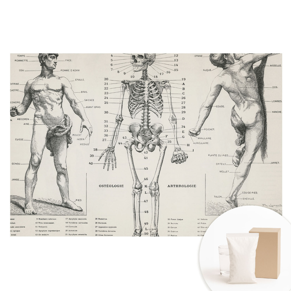 Netkaná tapeta s anatomickými ilustracemi v retro stylu