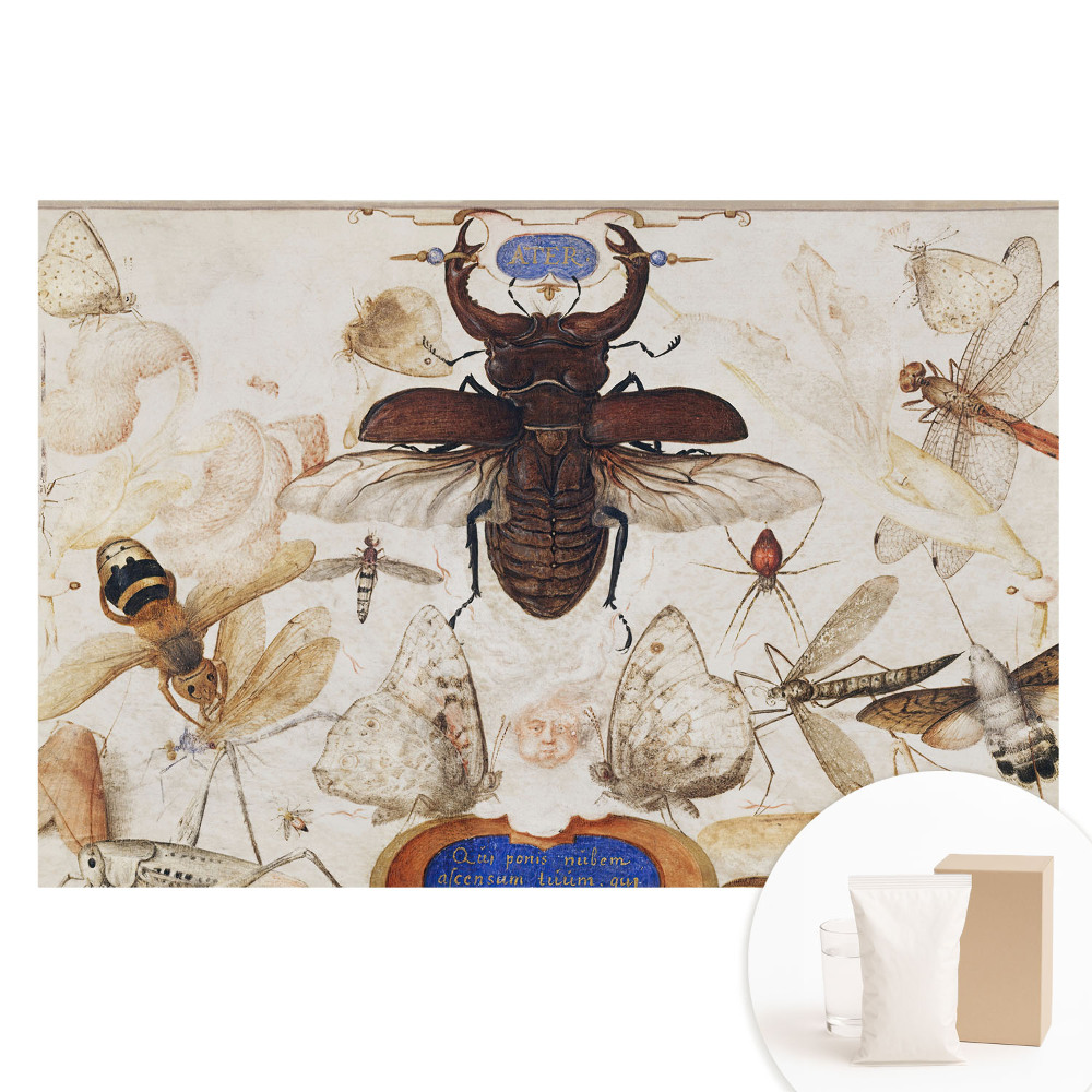 Fotografická tapeta na netkané textilii Hmyz motýli pavouk klasická symetrie