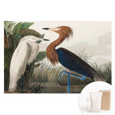 Netkaná tapeta Elegantní ptáci v vegetaci