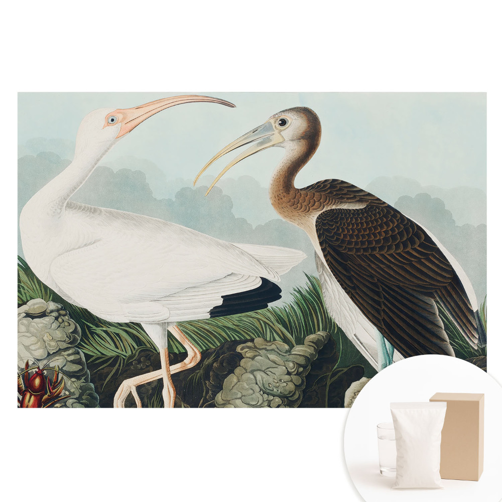 Netkaná tapeta s potiskem Dva ptáci v jejich přirozeném prostředí