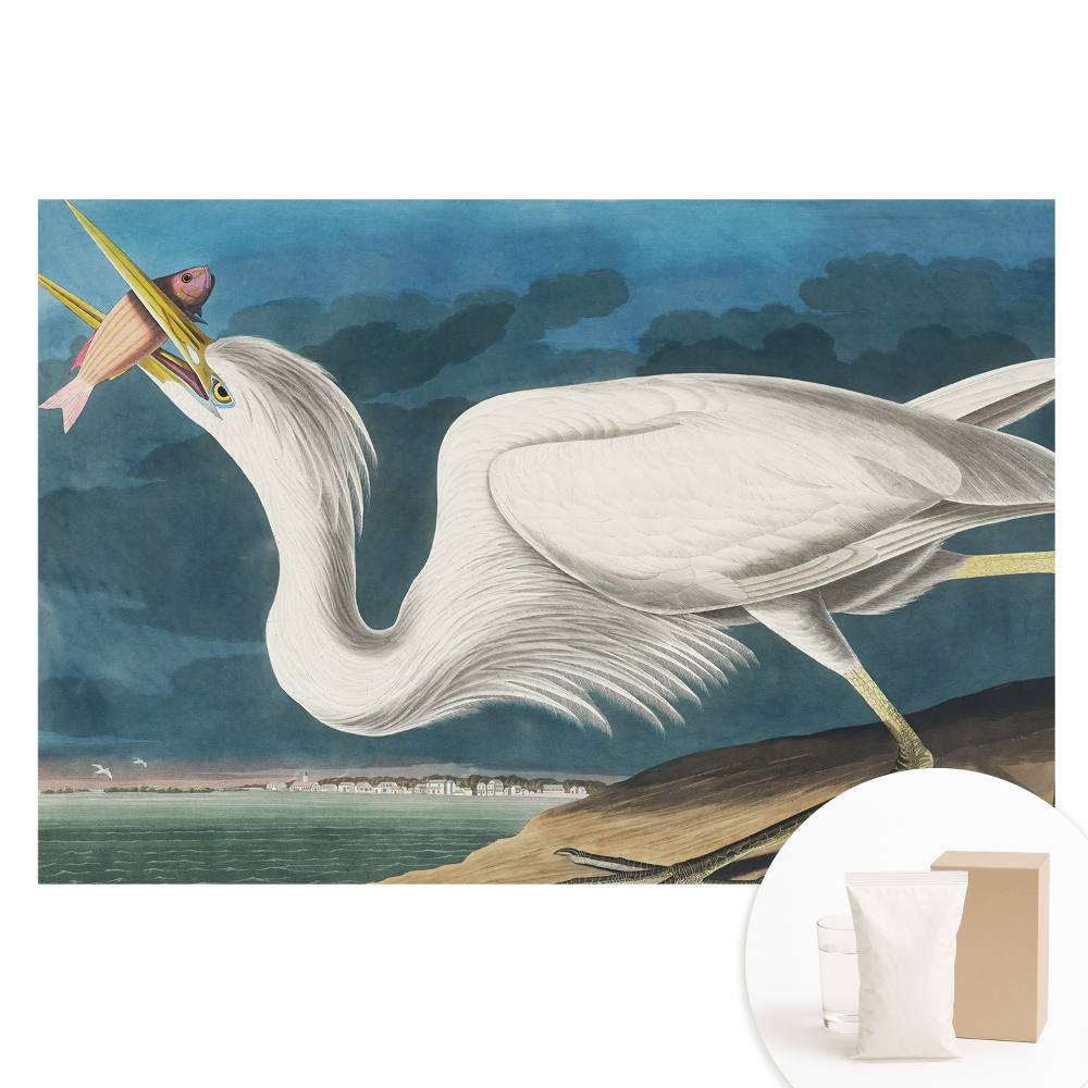 Velká fototapeta na zeď Ptačí elegance a příroda