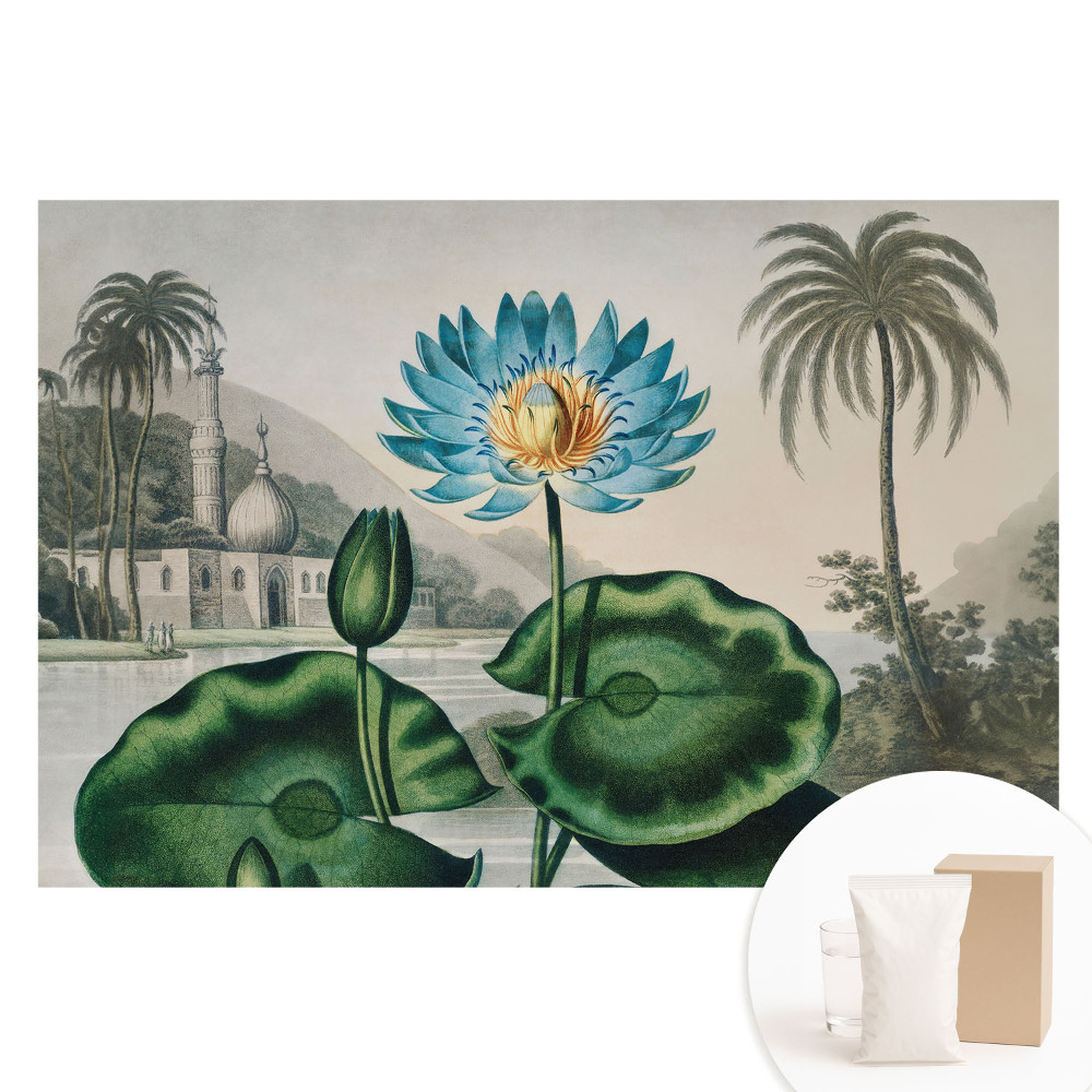 Netkaná tapeta s potiskem Exotická lilie v tropickém prostředí