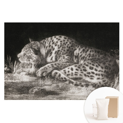 Fotografická tapeta na netkané textilii Leopard odpočívající v trávě