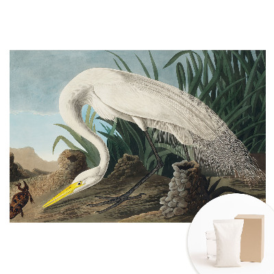 Netkaná tapeta Volavka v trávě