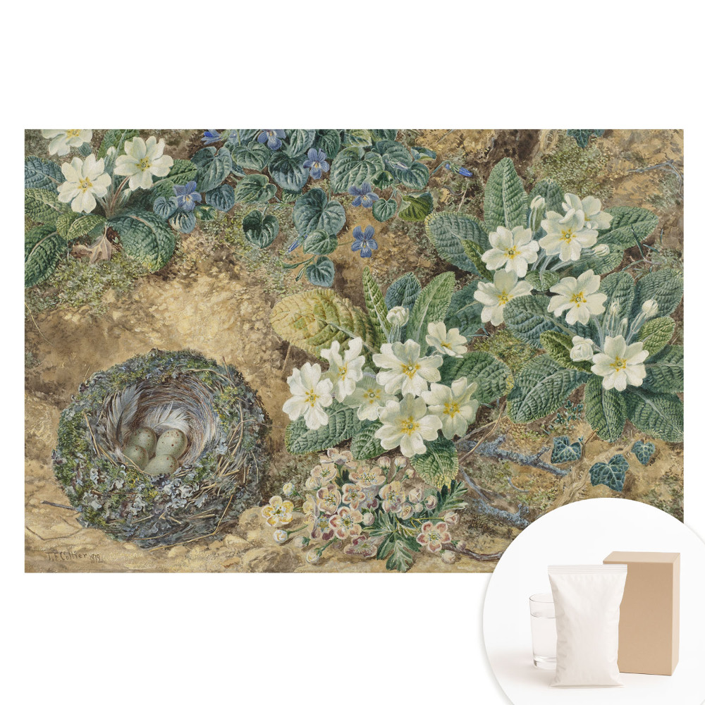 Velká fototapeta na zeď Květy prvosenky s ptačím hnízdem