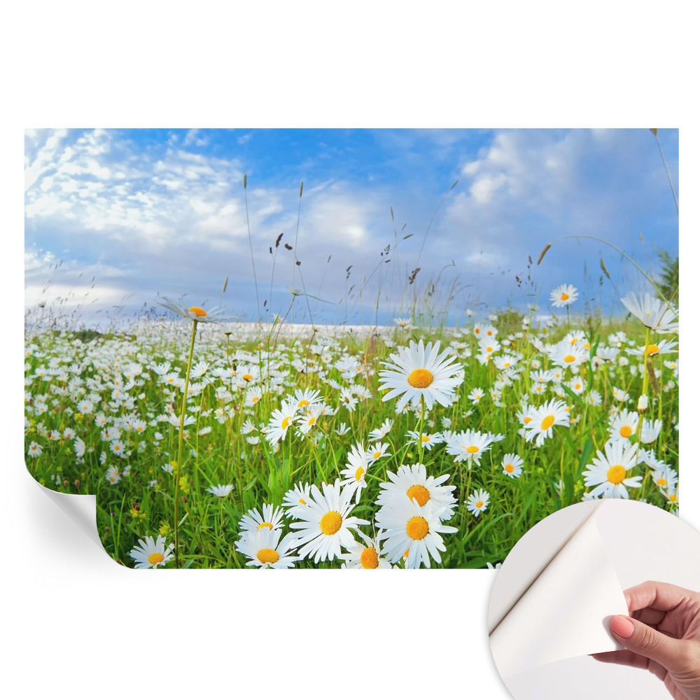 Samolepicí fototapeta do ložnice Letní louka