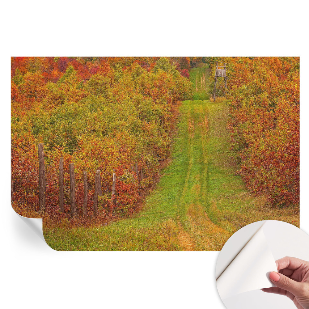 Samolepicí fotografická tapeta Podzimní barvy