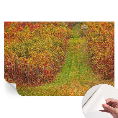 Samolepicí fototapeta Podzimní barvy