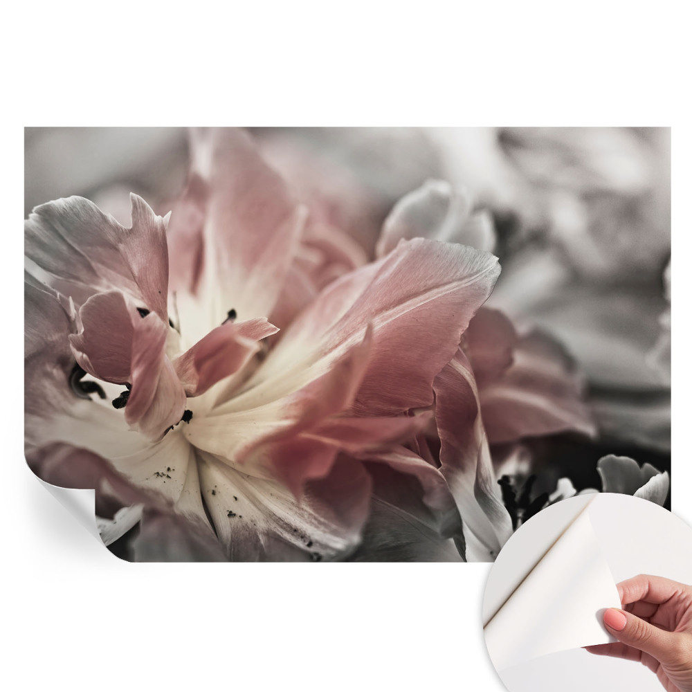 Samolepicí fototapeta Pastelový květ