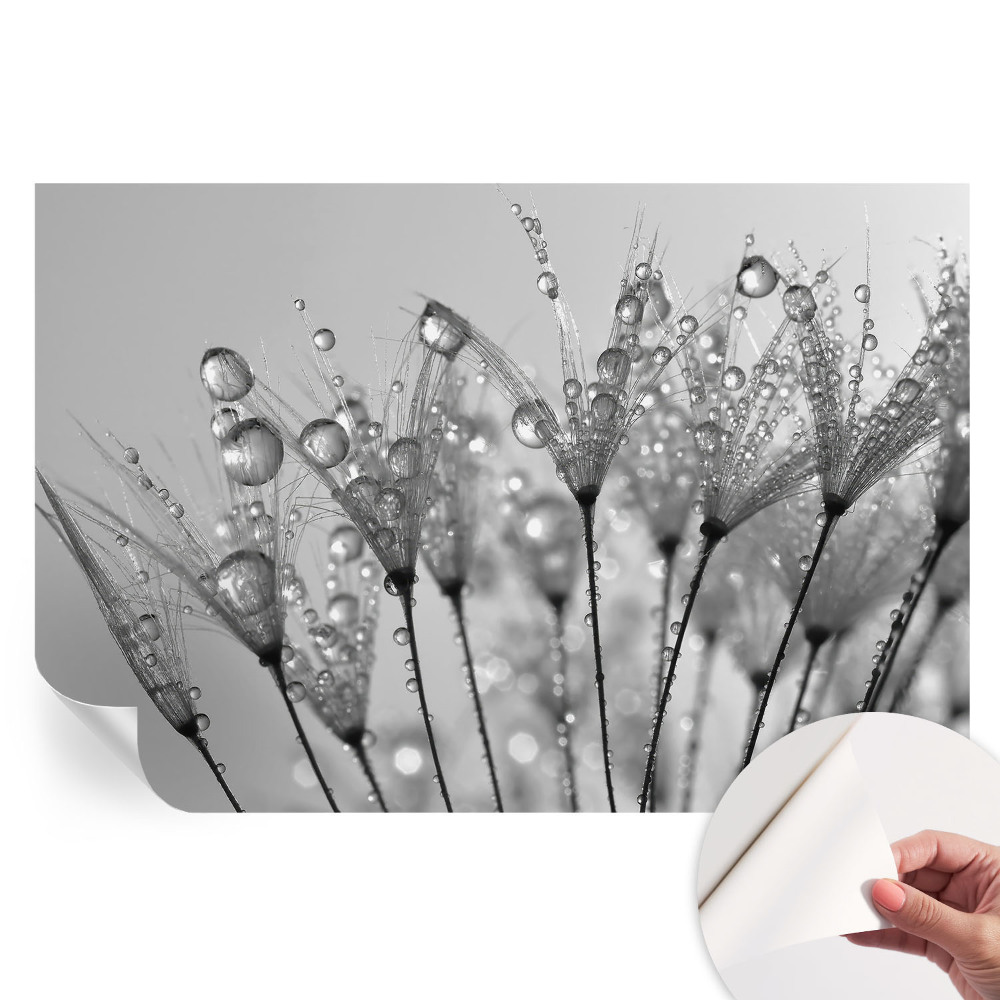 Samolepicí fototapeta Mokrá pochoutka